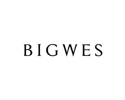 BIGWES Inc.  